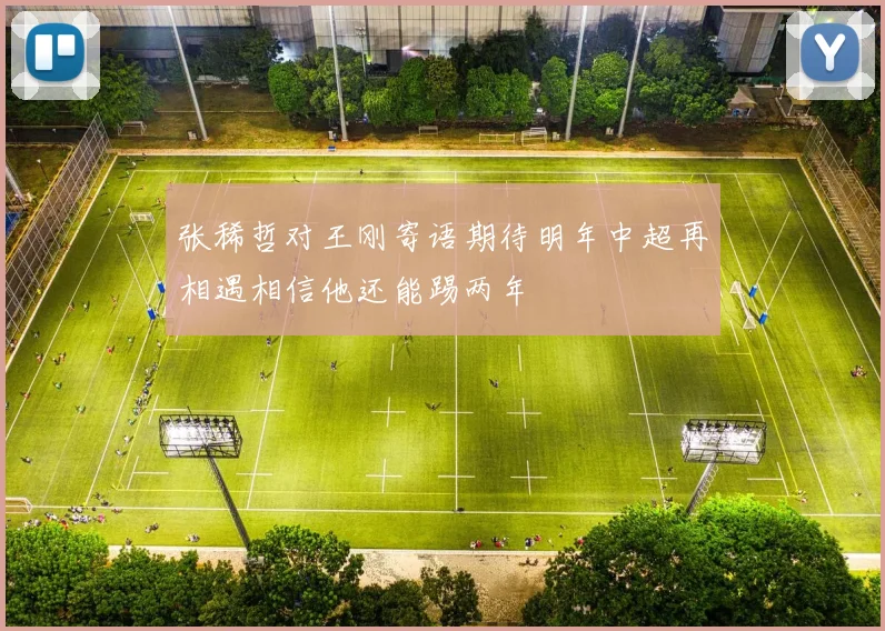 张稀哲对王刚寄语期待明年中超再相遇相信他还能踢两年