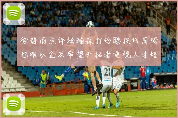 徐静雨点评杨瀚森打哈滕技巧周琦也难以企及希望开拓者重视人才培养