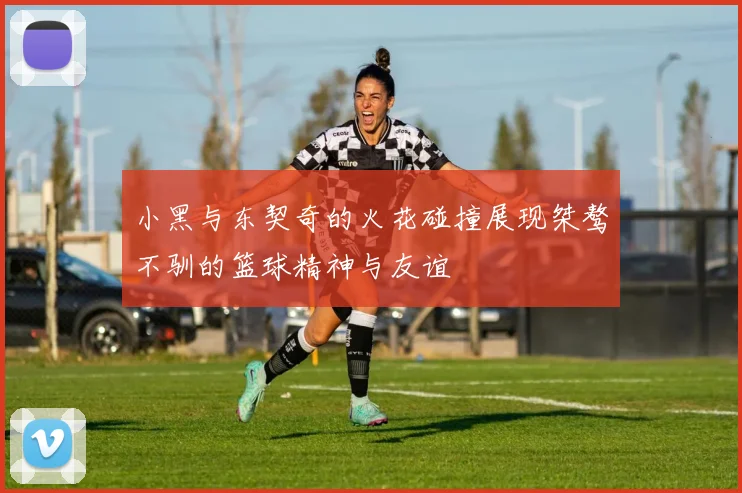 小黑与东契奇的火花碰撞展现桀骜不驯的篮球精神与友谊